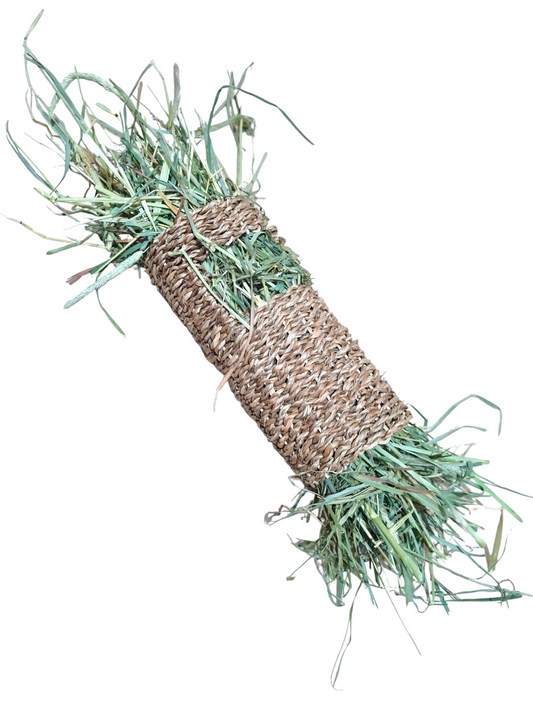 Seagrass Tunnel - Filled