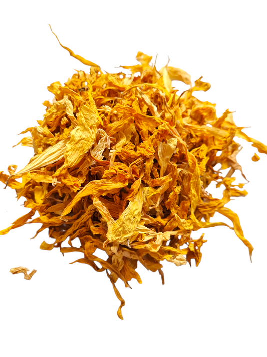 Sunflower Petals
