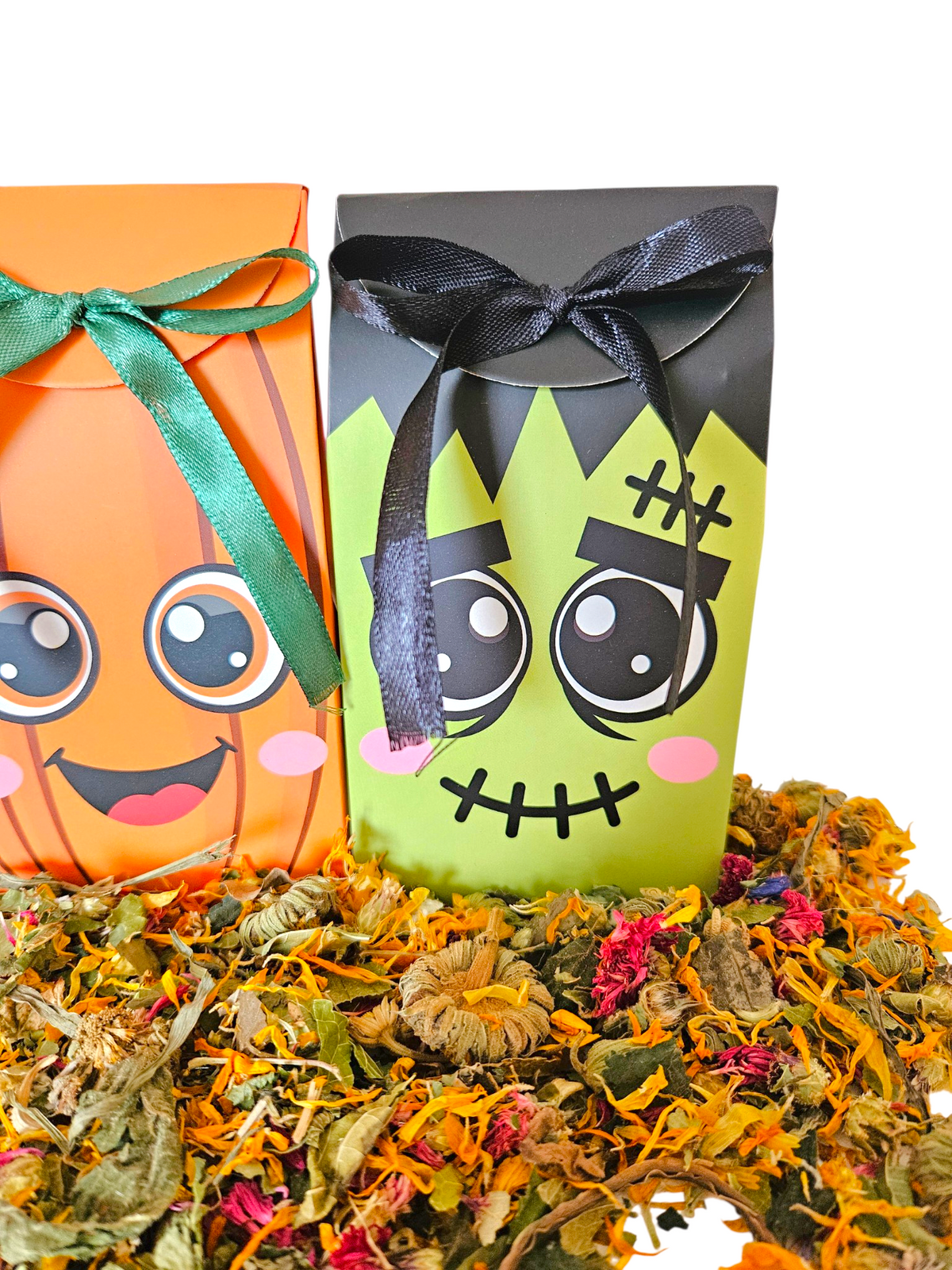 Trick or Treat Bag