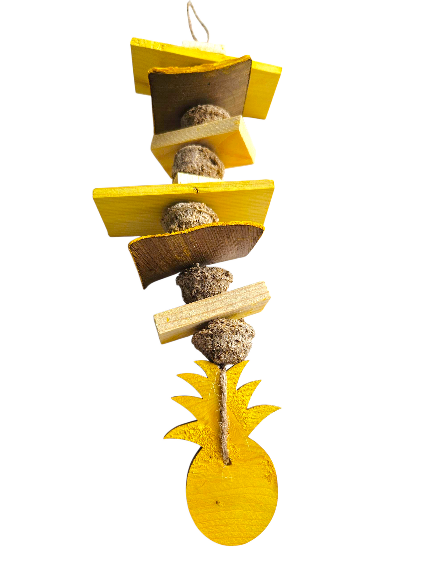 Pineapple Paradise