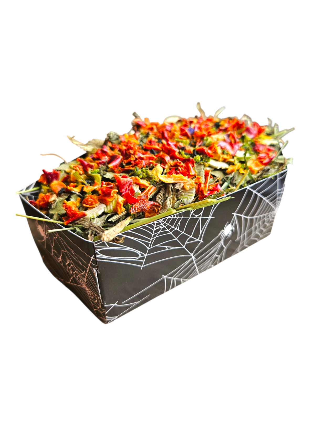 Draculas Coffin