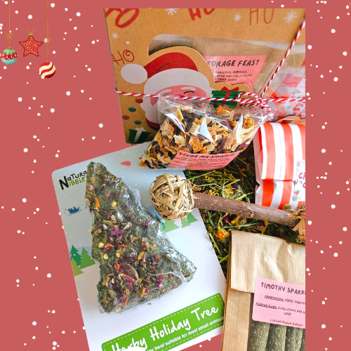 Santa's Workshop Box