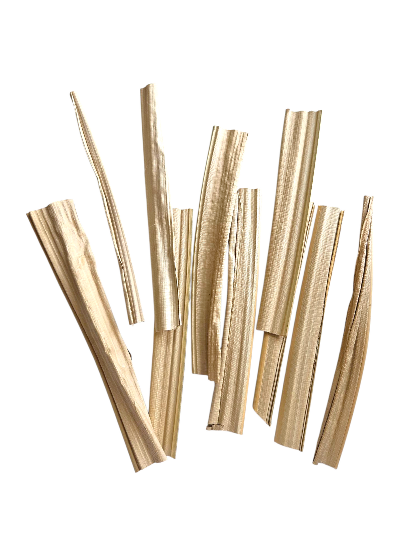 Palm Chomp Sticks