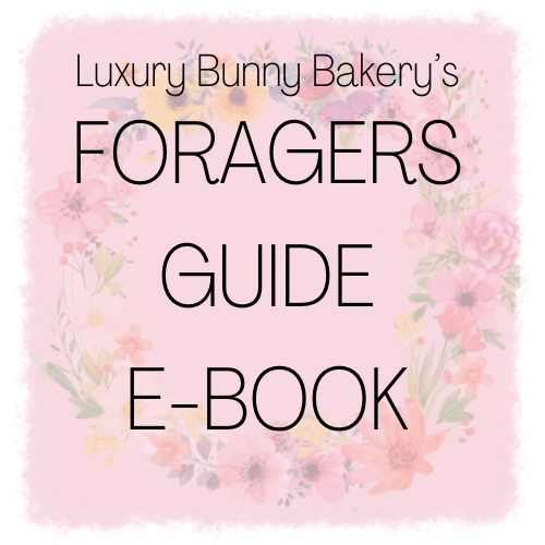 The Rabbit Foragers Guide