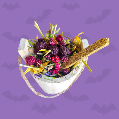 Witches' Brew Bucket