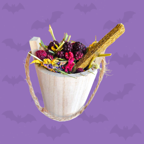 Witches' Brew Bucket