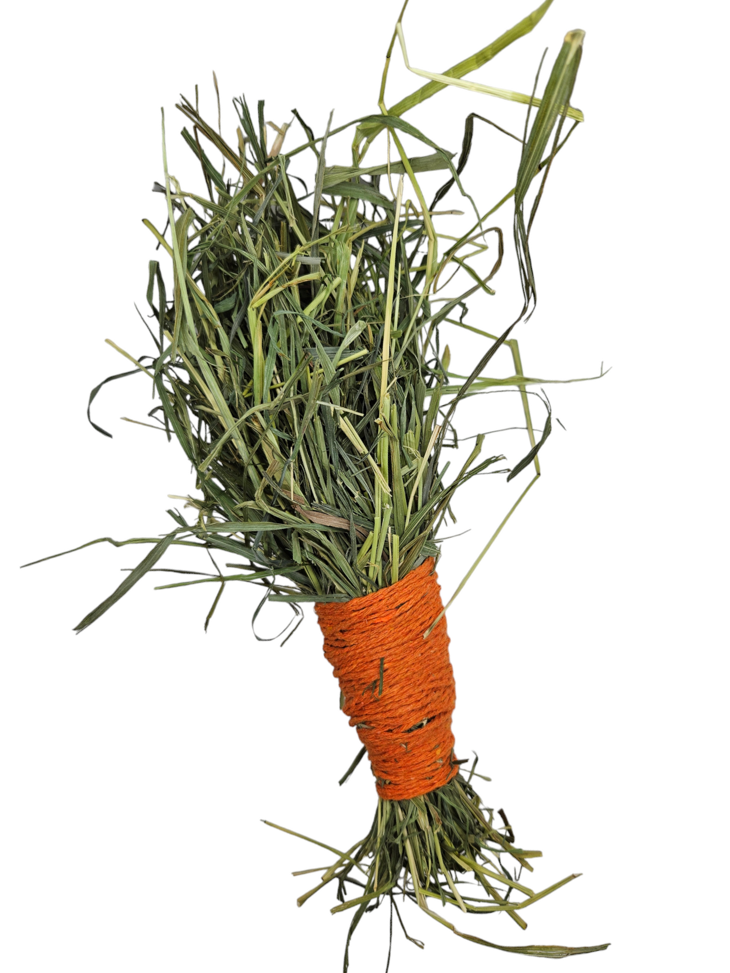 Green Timothy Carrot