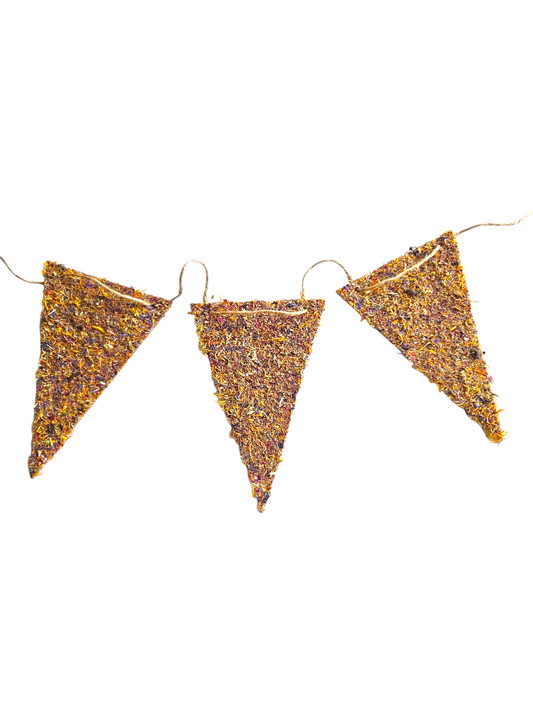 Celebration Bunting