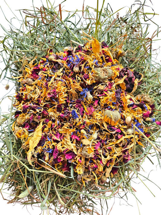 Everyday I'm Wafflin'