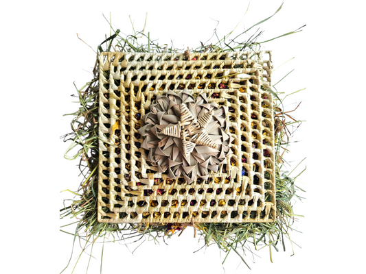 Everyday I'm Wafflin'