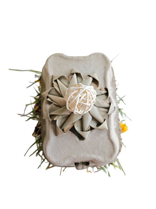 Eggsplorer Enrichment Box