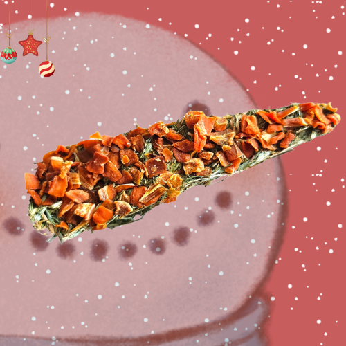 Frosty's Missing Nose