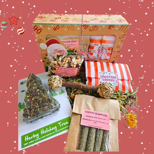 Santa's Workshop Box