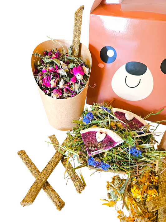 Bertie Bear's Picnic Bundle