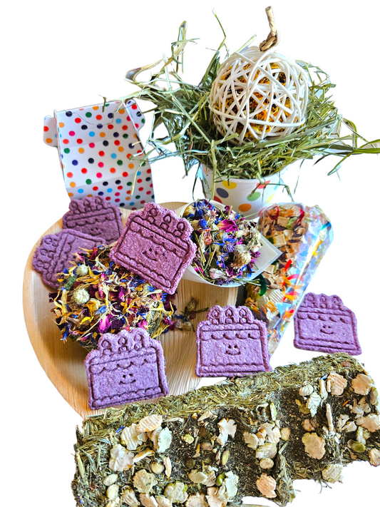 Celebration Bundle