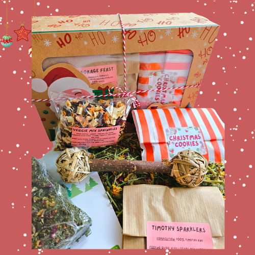 Santa's Workshop Box