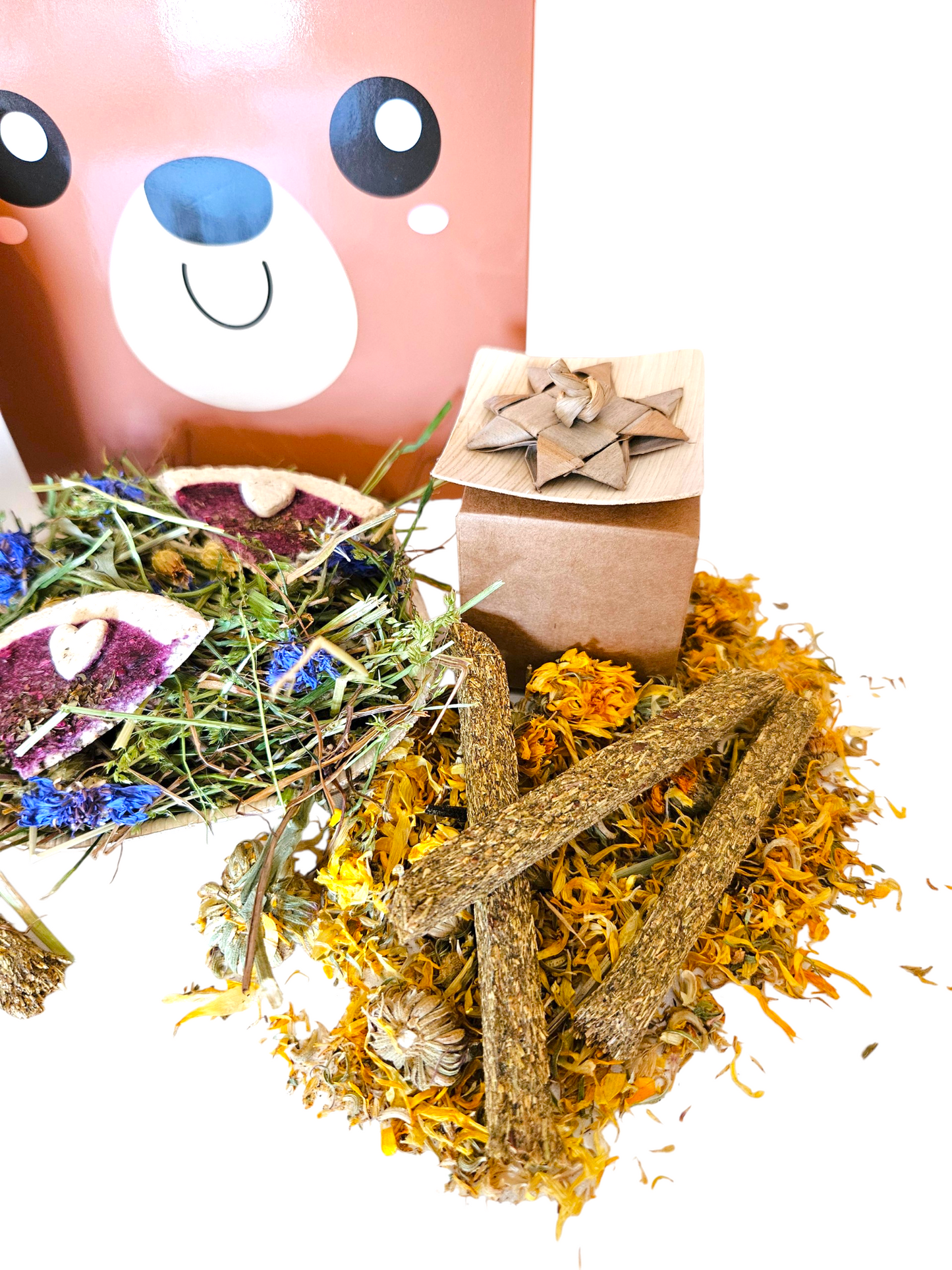 Bertie Bear's Picnic Bundle