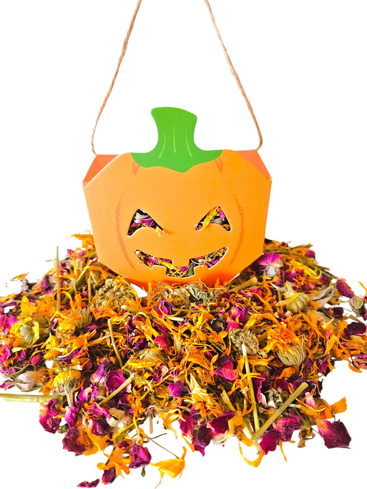 Pumpkin Piñata