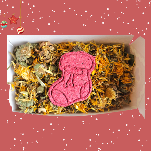 Cosy Gingerbread House