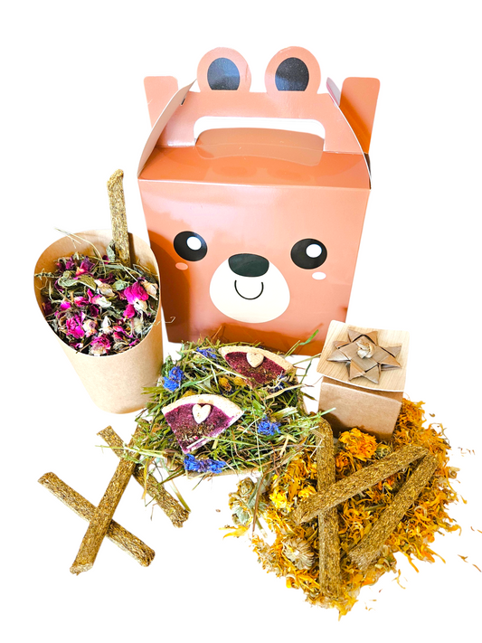 Bertie Bear's Picnic Bundle