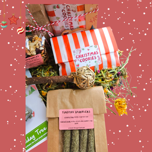 Santa's Workshop Box