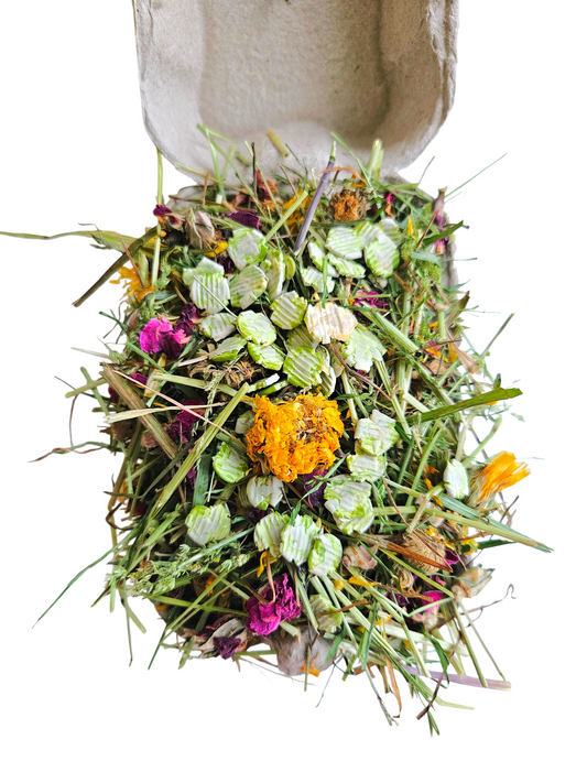 Eggsplorer Enrichment Box